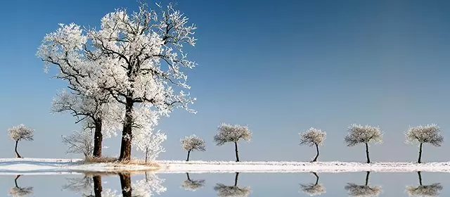 Horoskop na sierpień 2026